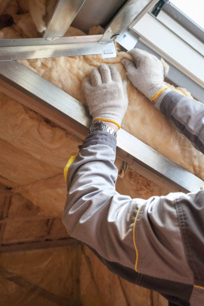 Best Insulation Maintenance and Repair in Mission Nyon, CA