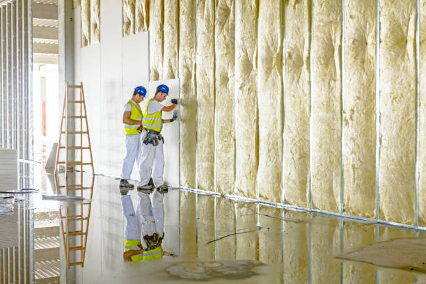 Best Specialty Insulation in Mission Nyon, CA